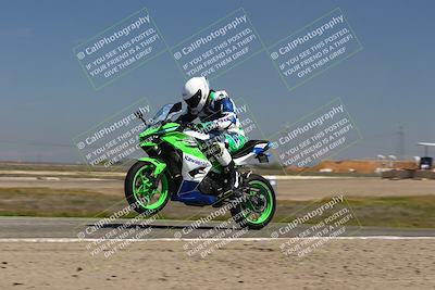 media/Mar-24-2025-2WTD (Mon) [[55b4b08488]]/B Group/1220pm (Wheelie Bump)/
